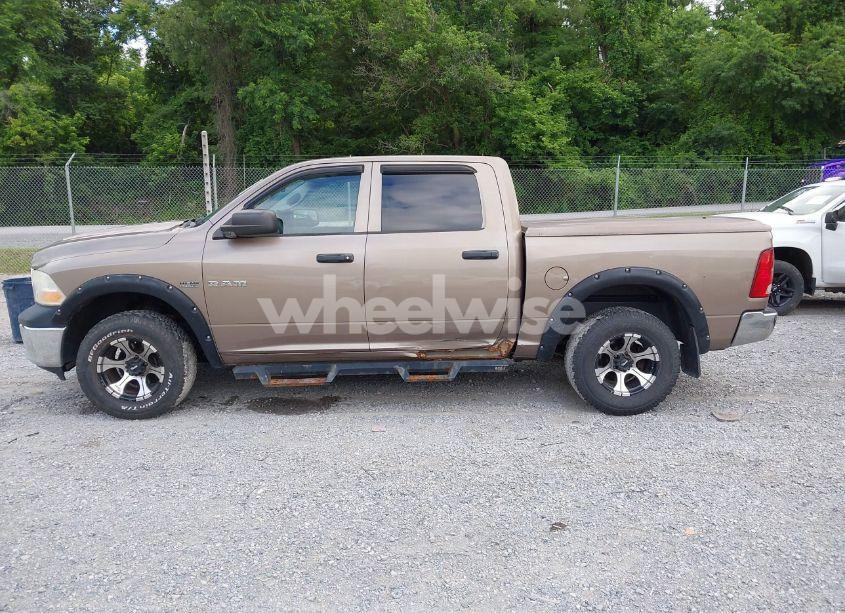 Photo 14 of 2010 Dodge Ram 1500 ST (VIN 1D7RV1CT0AS217225)