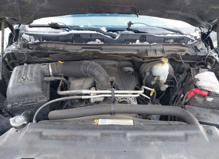 Photo 10 of 2010 Dodge Ram 1500 SLT/SPORT/TRX (VIN 1D7RV1CT2AS127929)