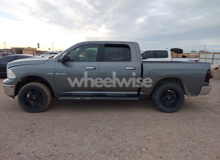 Photo 15 of 2010 Dodge Ram 1500 SLT/SPORT/TRX (VIN 1D7RV1CT2AS137148)