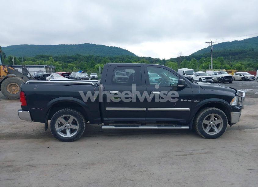 Photo 13 of 2010 Dodge Ram 1500 SLT/SPORT/TRX (VIN 1D7RV1CT6AS261360)