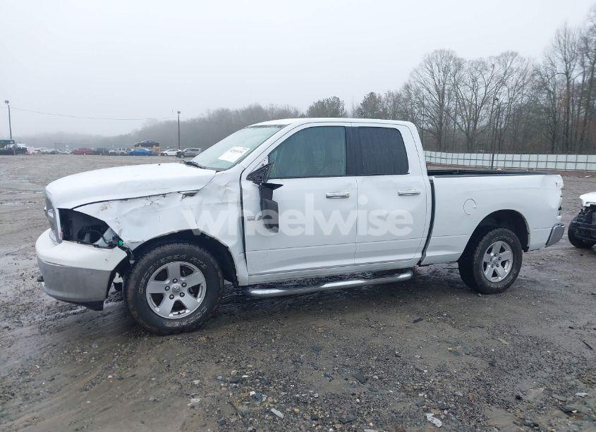 Photo 15 of 2010 Dodge Ram 1500 SLT/SPORT/TRX (VIN 1D7RV1GP1AS129166)