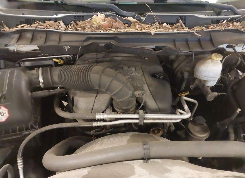 Photo 10 of 2010 Dodge Ram 1500 SLT/SPORT/TRX (VIN 1D7RV1GT6AS235030)