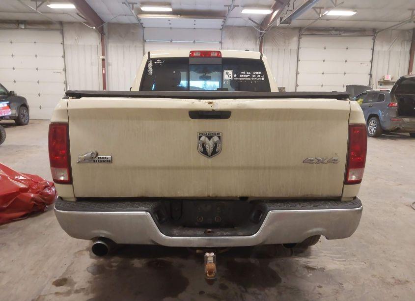 Photo 16 of 2010 Dodge Ram 1500 SLT/SPORT/TRX (VIN 1D7RV1GT6AS235030)