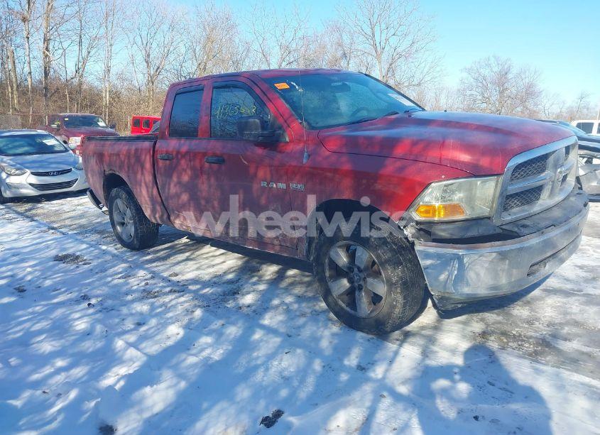 Photo 13 of 2010 Dodge Ram 1500 ST (VIN 1D7RV1GTXAS218554)