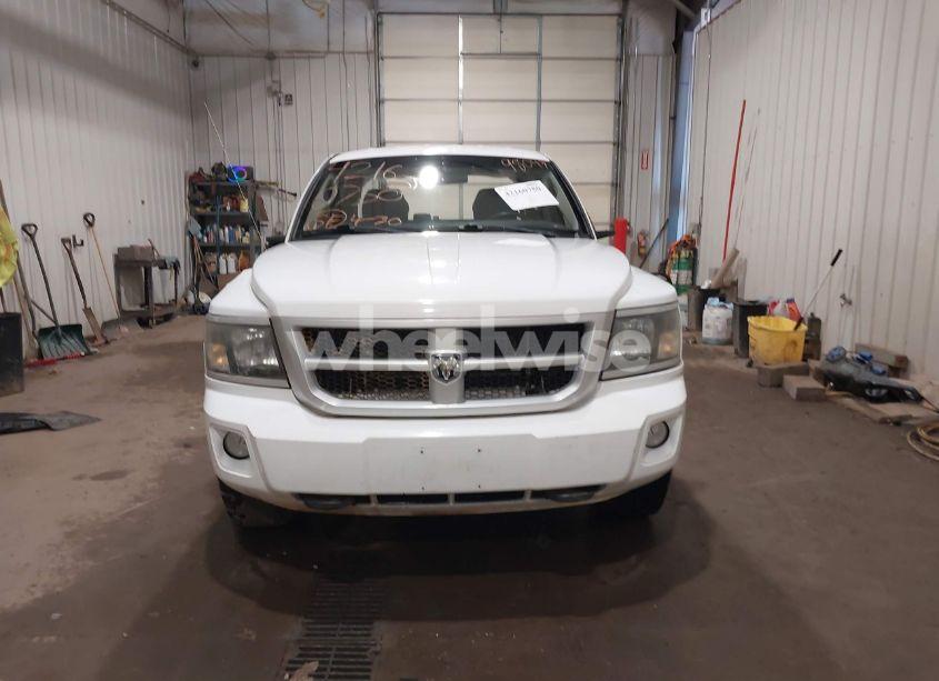 Photo 13 of 2011 Ram Dakota BIGHORN/LONESTAR (VIN 1D7RW3GP4BS648982)