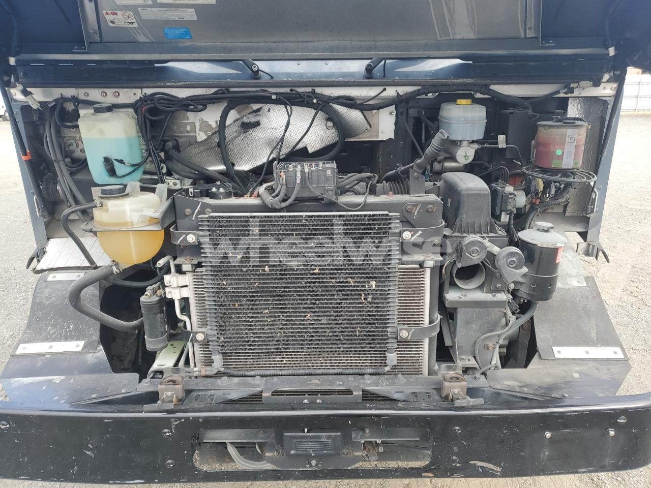 Photo 11 of 2021 FORD F59 (VIN 1F65F5KN5M0A04838)