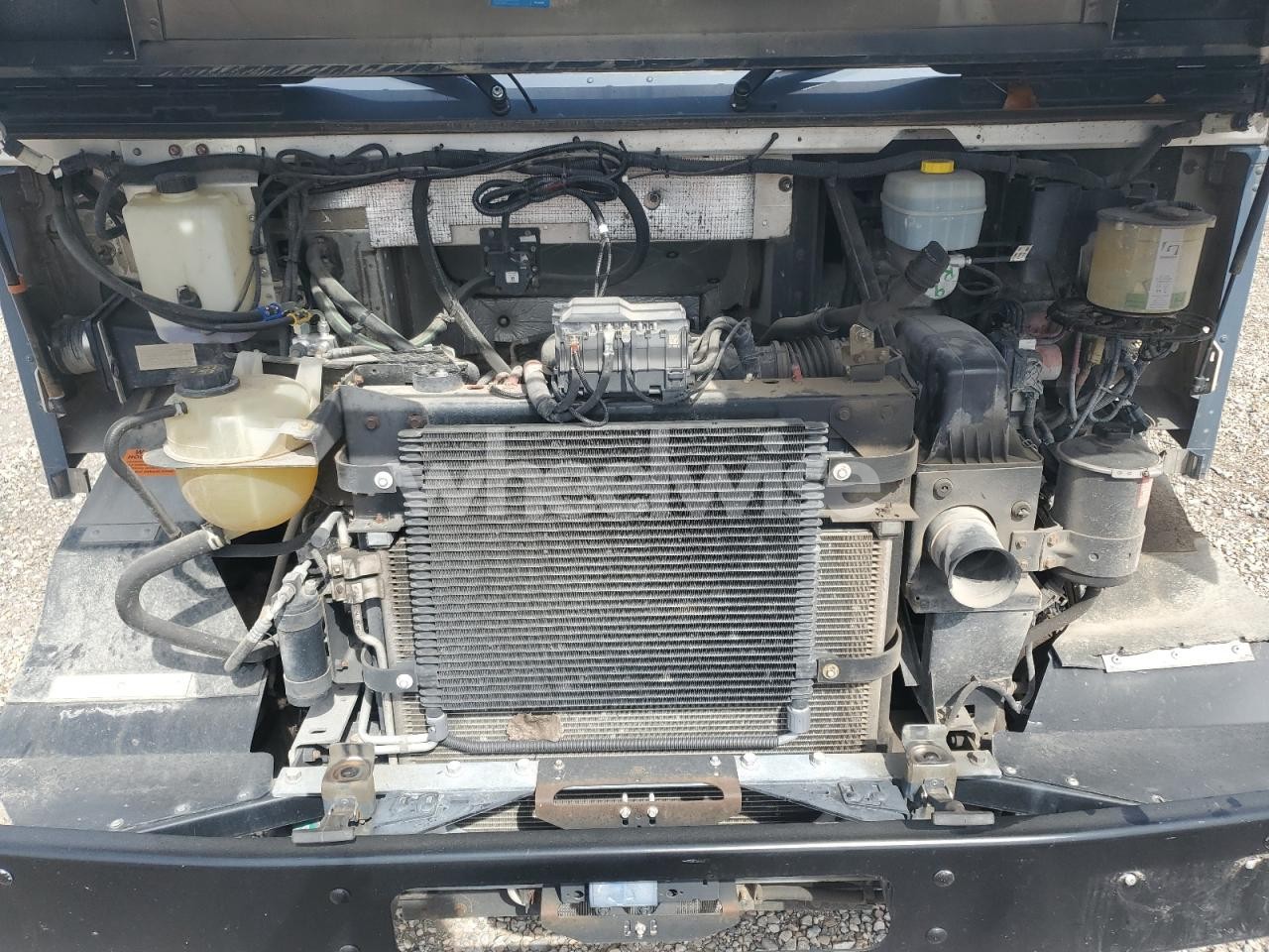 Photo 11 of 2020 FORD F59 (VIN 1F65F5KN6L0A01185)