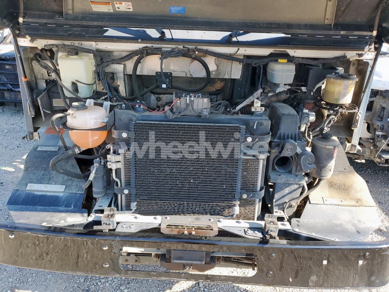 Photo 12 of 2020 FORD F59 (VIN 1F65F5KN8L0A03696)