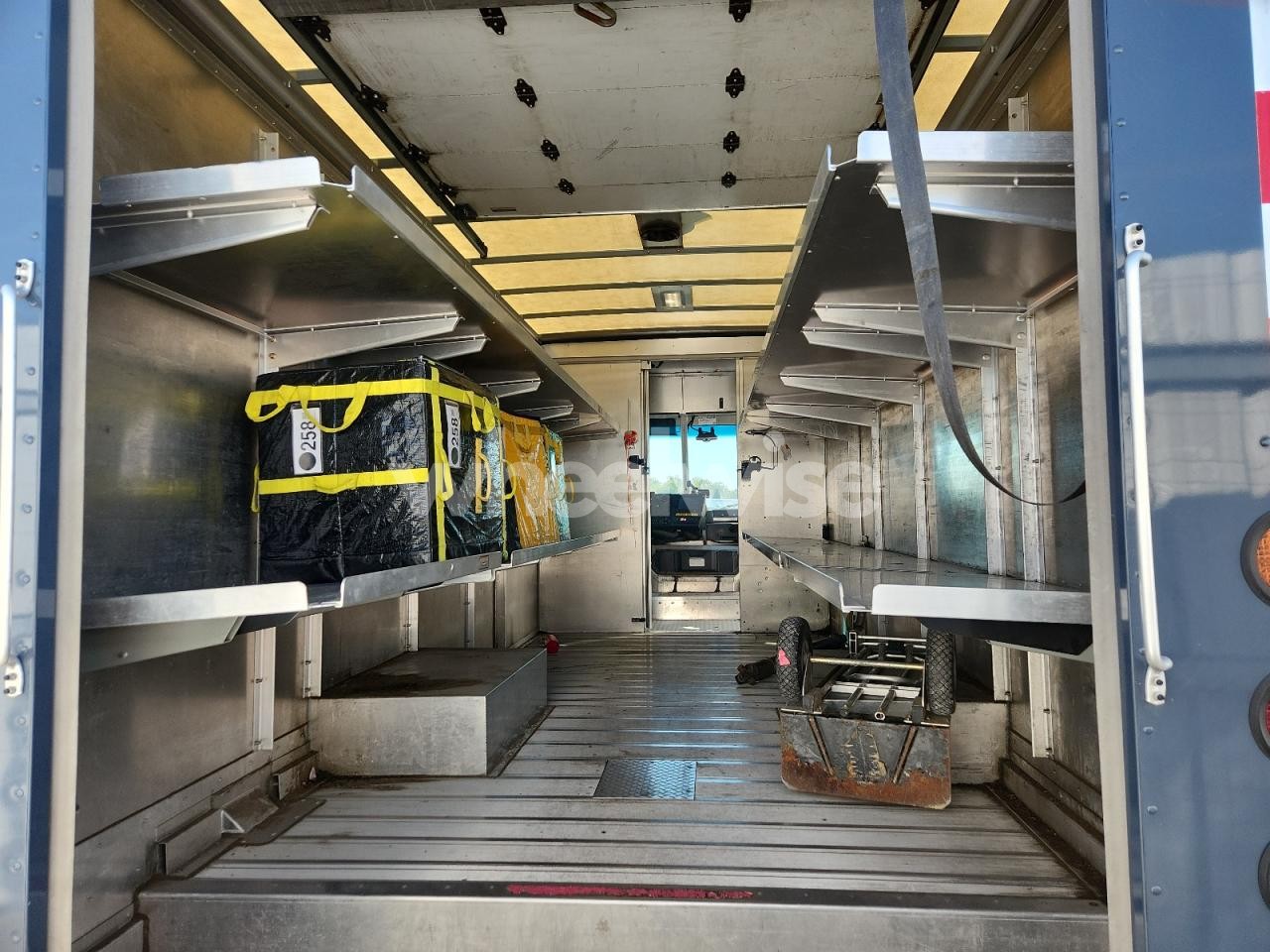 Photo 10 of 2020 FORD F59 (VIN 1F65F5KN9L0A10446)