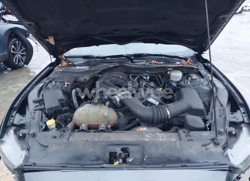 Photo 10 of 2015 Ford Mustang V6 (VIN 1FA6P8AM0F5318840)