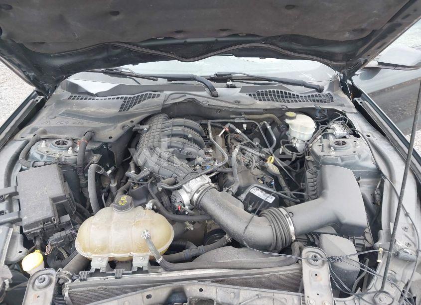 Photo 10 of 2015 Ford Mustang V6 (VIN 1FA6P8AM0F5336013)