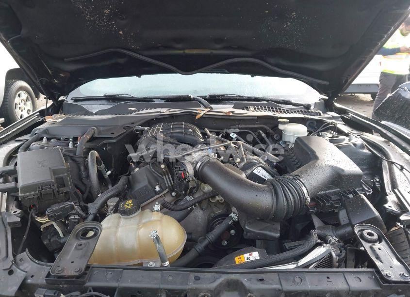 Photo 10 of 2016 Ford Mustang V6 (VIN 1FA6P8AM0G5218285)