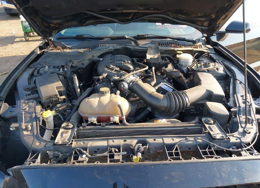 Photo 10 of 2016 Ford Mustang V6 (VIN 1FA6P8AM0G5240917)