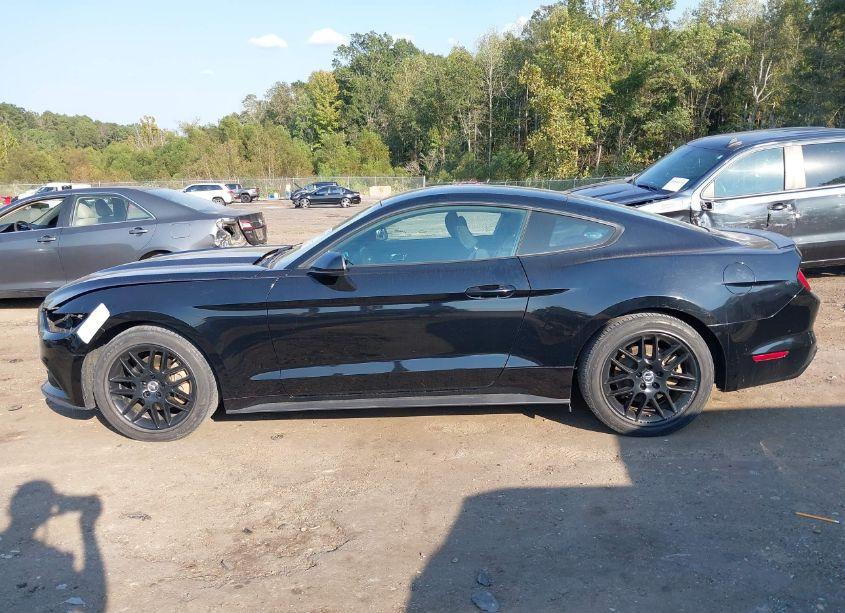 Photo 14 of 2016 Ford Mustang V6 (VIN 1FA6P8AM0G5240917)