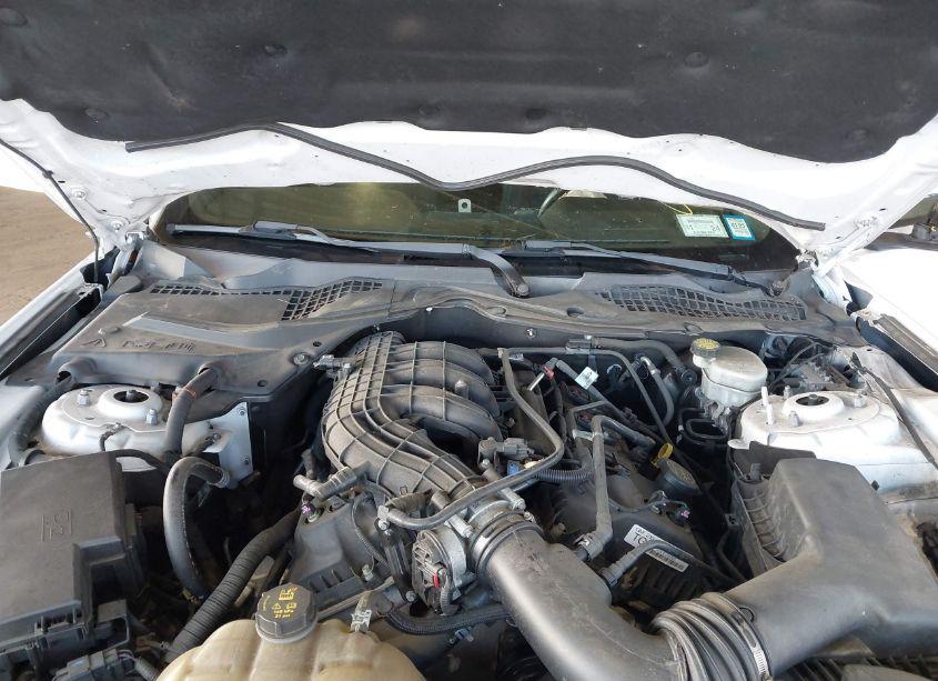 Photo 10 of 2016 Ford Mustang V6 (VIN 1FA6P8AM0G5320895)