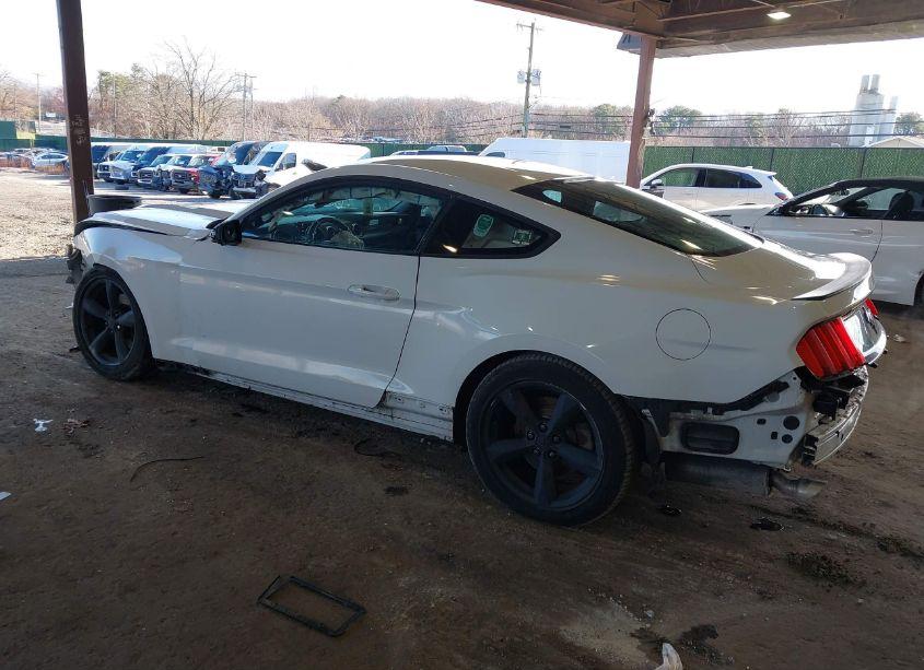 Photo 3 of 2016 Ford Mustang V6 (VIN 1FA6P8AM0G5320895)