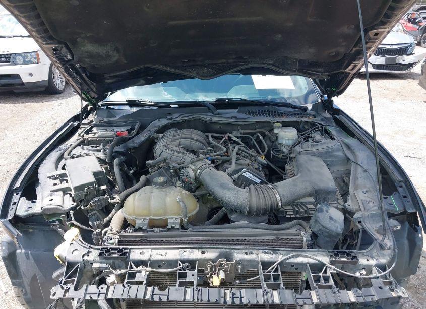 Photo 10 of 2016 Ford Mustang V6 (VIN 1FA6P8AM2G5232513)