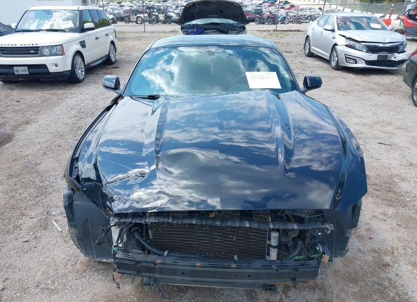 Photo 12 of 2016 Ford Mustang V6 (VIN 1FA6P8AM2G5232513)