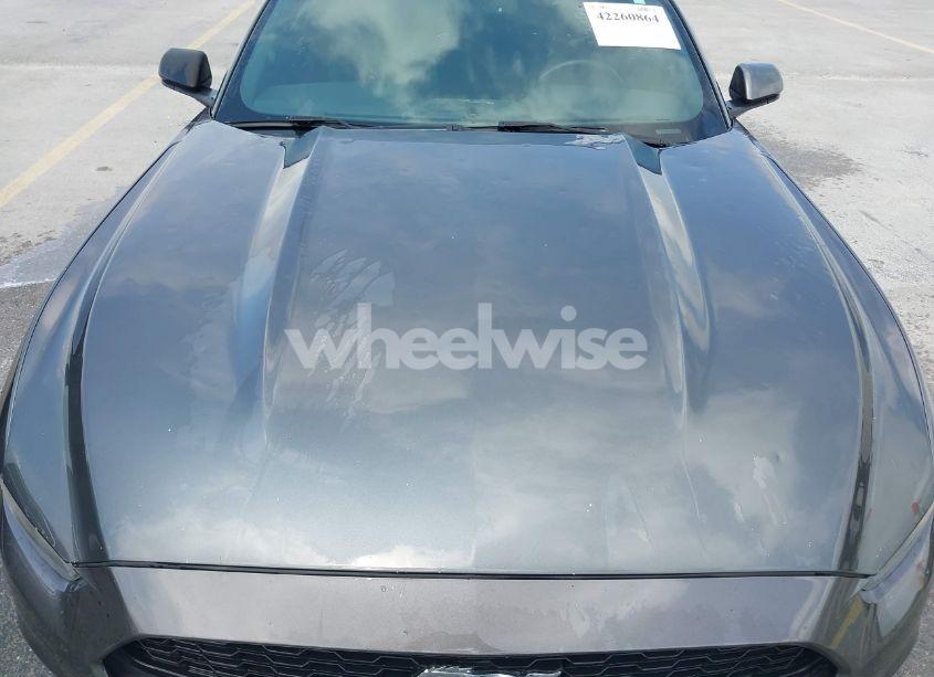 Photo 6 of 2016 Ford Mustang V6 (VIN 1FA6P8AM2G5290170)