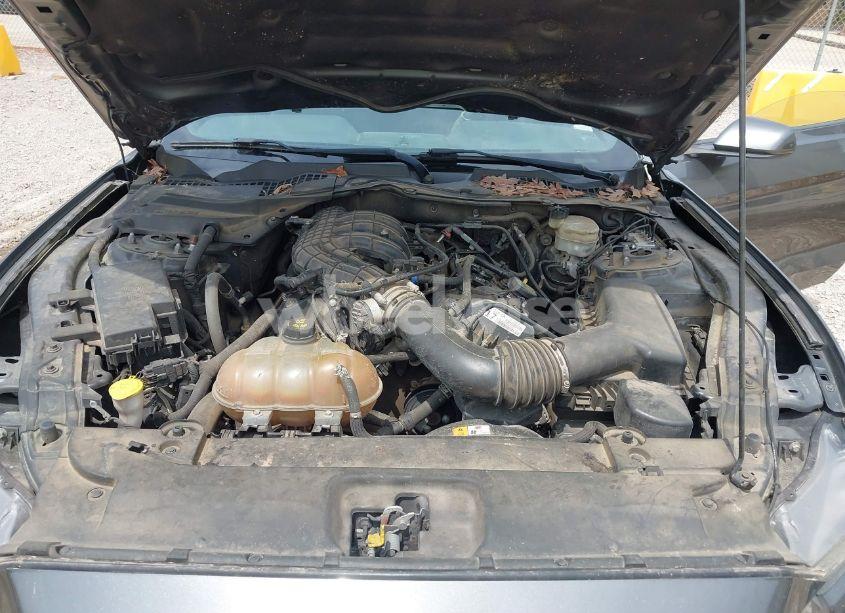 Photo 10 of 2017 Ford Mustang V6 (VIN 1FA6P8AM2H5304781)