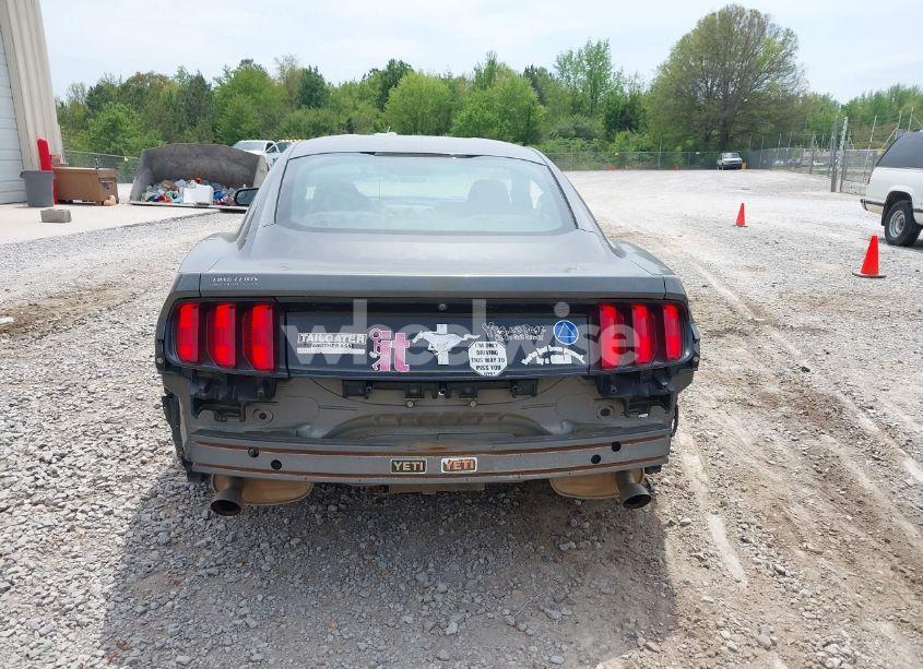 Photo 16 of 2017 Ford Mustang V6 (VIN 1FA6P8AM2H5304781)
