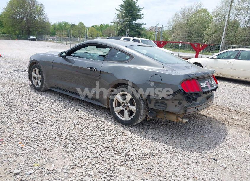 Photo 3 of 2017 Ford Mustang V6 (VIN 1FA6P8AM2H5304781)