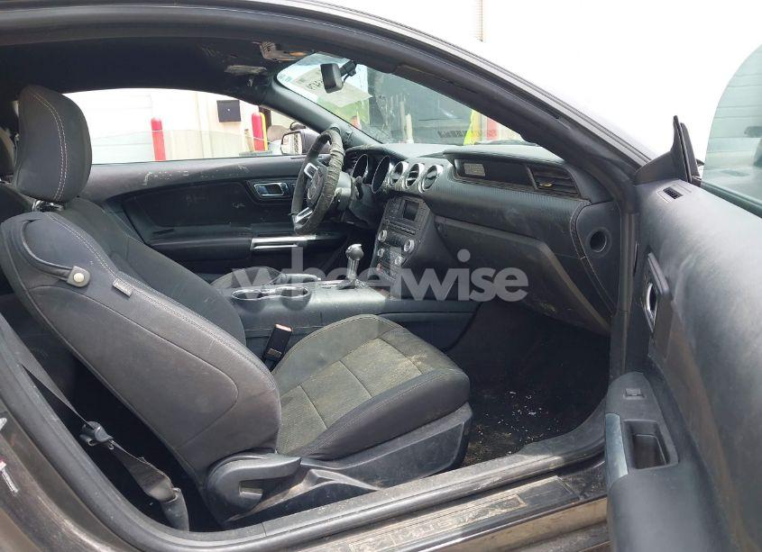 Photo 5 of 2017 Ford Mustang V6 (VIN 1FA6P8AM2H5304781)