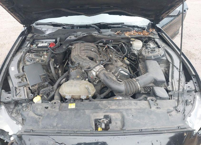 Photo 10 of 2017 Ford Mustang V6 (VIN 1FA6P8AM2H5306403)