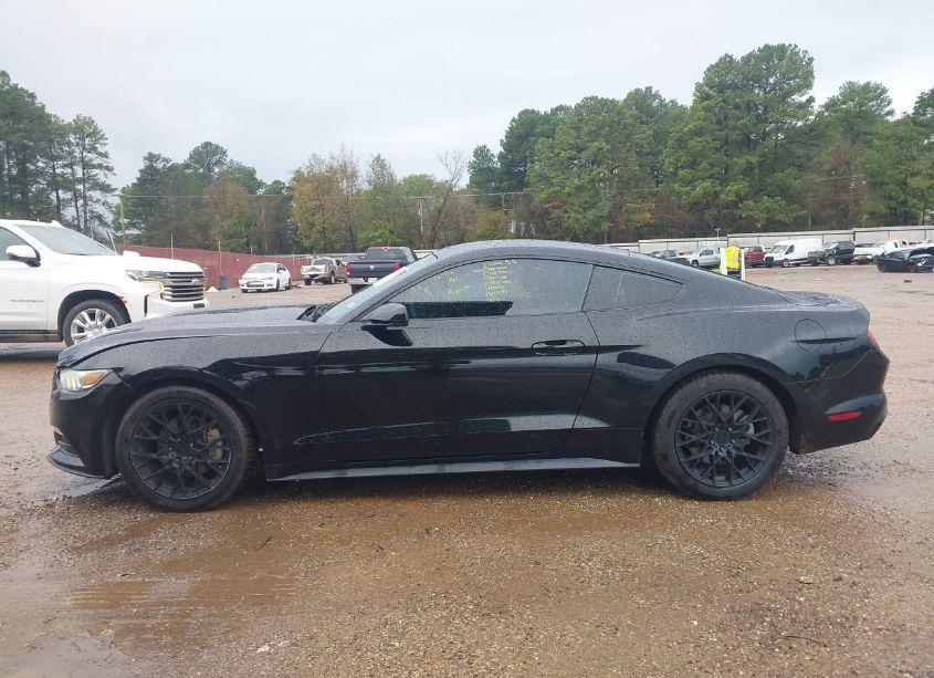 Photo 14 of 2017 Ford Mustang V6 (VIN 1FA6P8AM2H5306403)