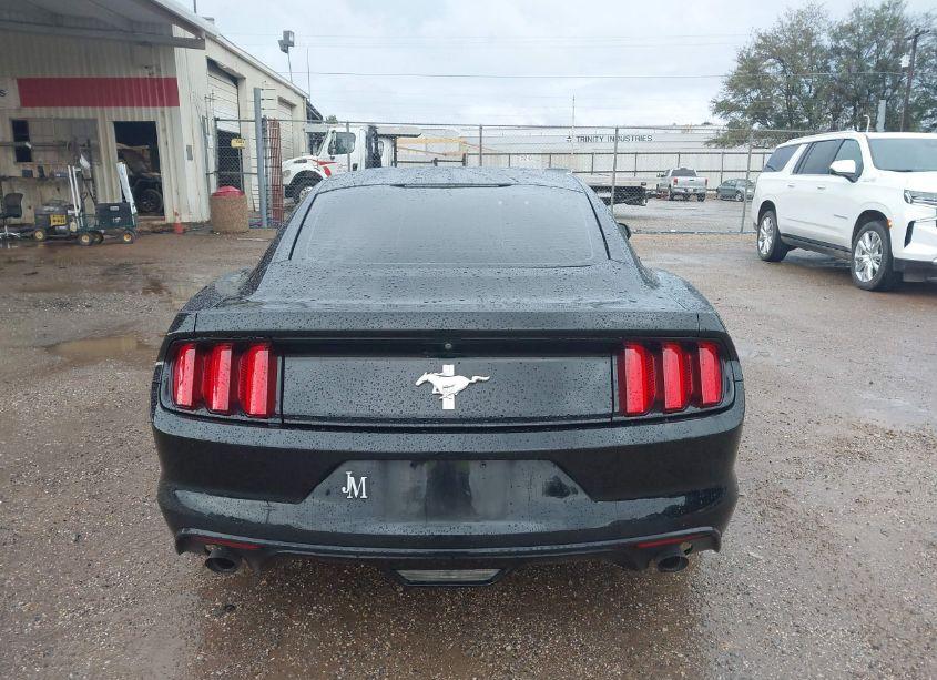 Photo 16 of 2017 Ford Mustang V6 (VIN 1FA6P8AM2H5306403)