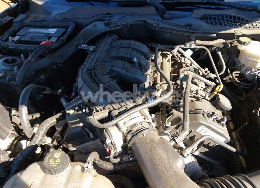 Photo 10 of 2017 Ford Mustang V6 (VIN 1FA6P8AM2H5338767)