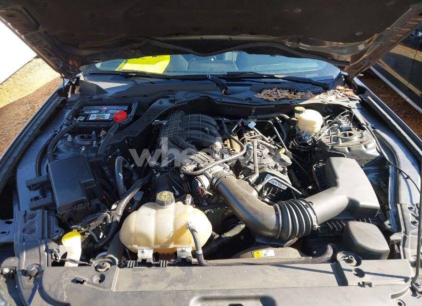 Photo 10 of 2017 Ford Mustang V6 (VIN 1FA6P8AM2H5338851)