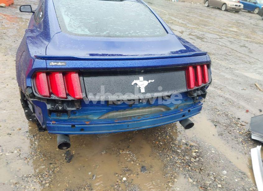 Photo 20 of 2016 Ford Mustang V6 (VIN 1FA6P8AM3G5245237)
