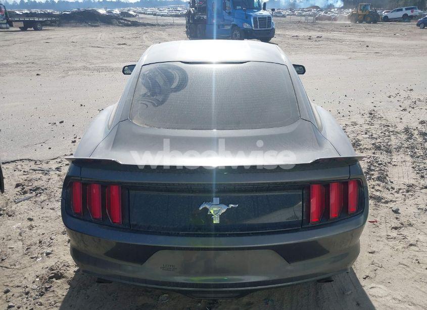 Photo 16 of 2017 Ford Mustang V6 (VIN 1FA6P8AM3H5296979)