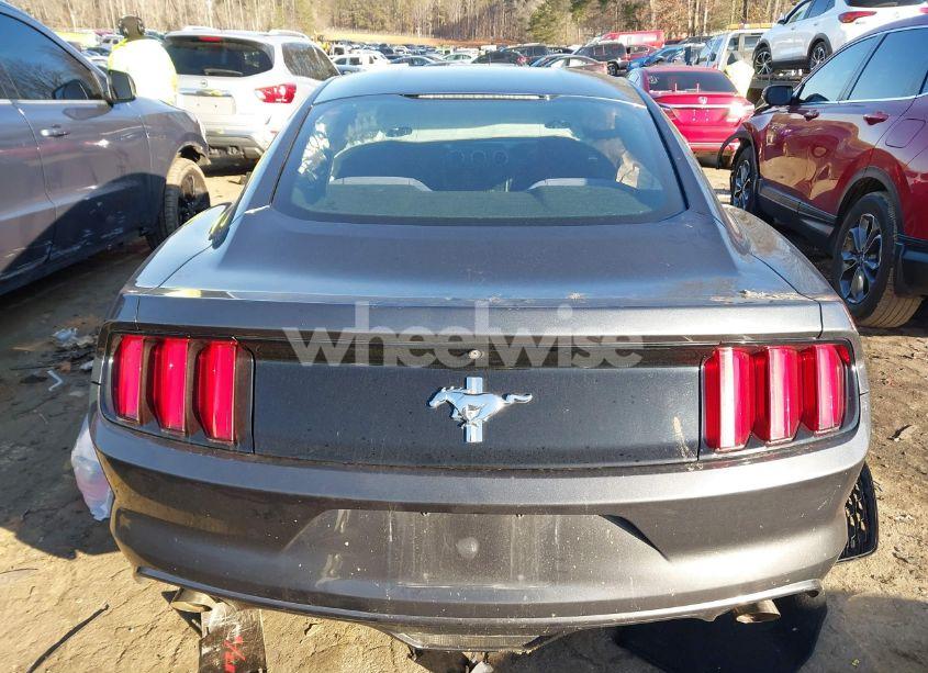 Photo 17 of 2017 Ford Mustang V6 (VIN 1FA6P8AM3H5301081)