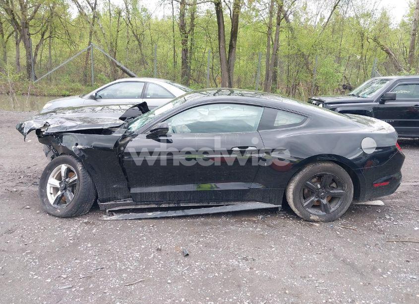Photo 14 of 2017 Ford Mustang V6 (VIN 1FA6P8AM3H5322125)