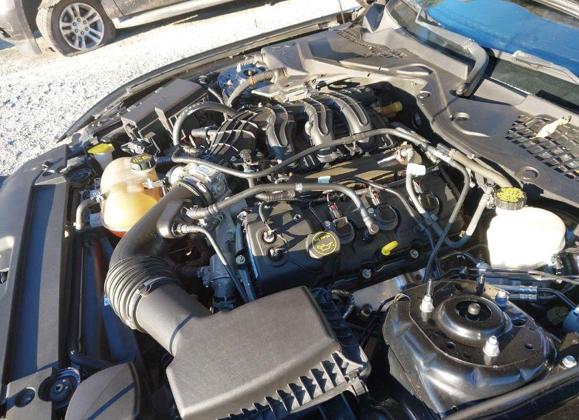 Photo 10 of 2015 Ford Mustang V6 (VIN 1FA6P8AM4F5429195)