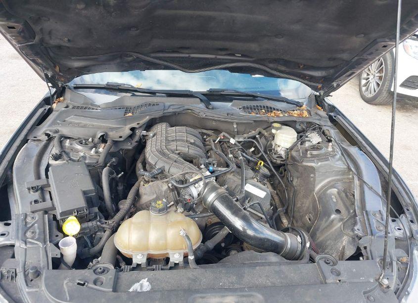 Photo 10 of 2017 Ford Mustang V6 (VIN 1FA6P8AM4H5228903)