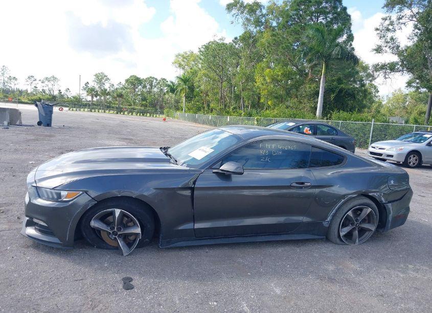 Photo 14 of 2017 Ford Mustang V6 (VIN 1FA6P8AM4H5228903)