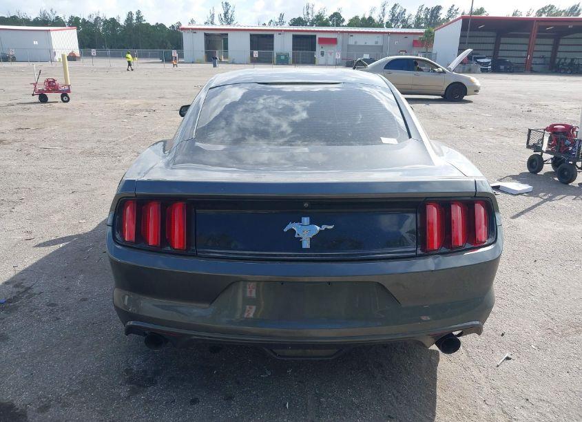 Photo 16 of 2017 Ford Mustang V6 (VIN 1FA6P8AM4H5228903)