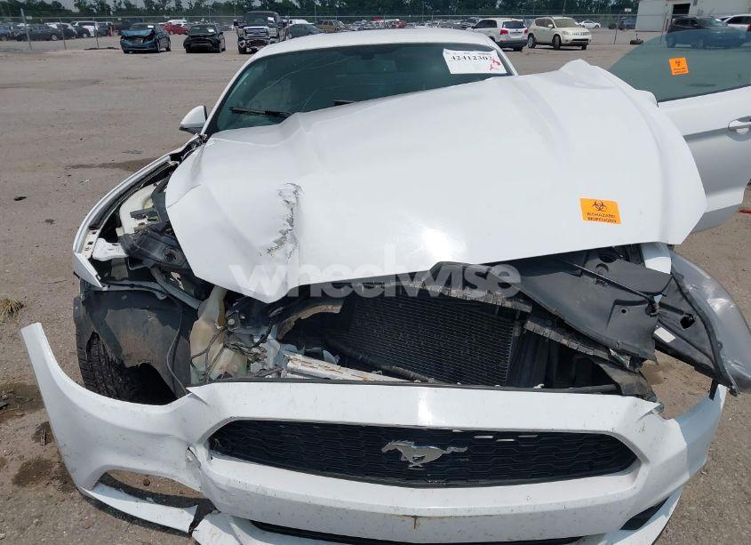 Photo 10 of 2017 Ford Mustang V6 (VIN 1FA6P8AM4H5289474)