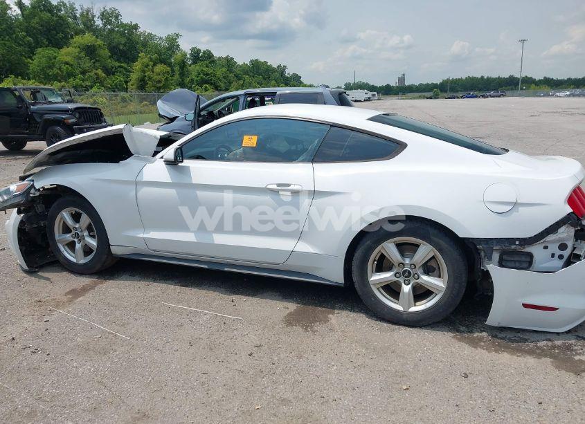 Photo 14 of 2017 Ford Mustang V6 (VIN 1FA6P8AM4H5289474)