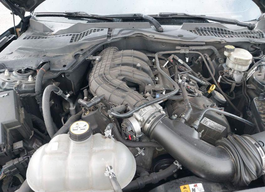 Photo 10 of 2015 Ford Mustang V6 (VIN 1FA6P8AM5F5344396)