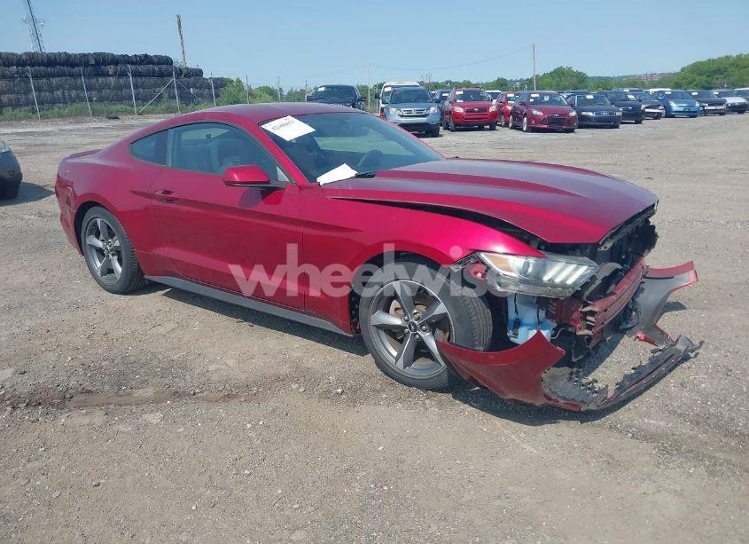 2015 Ford Mustang V6 (VIN 1FA6P8AM6F5365449) main photo