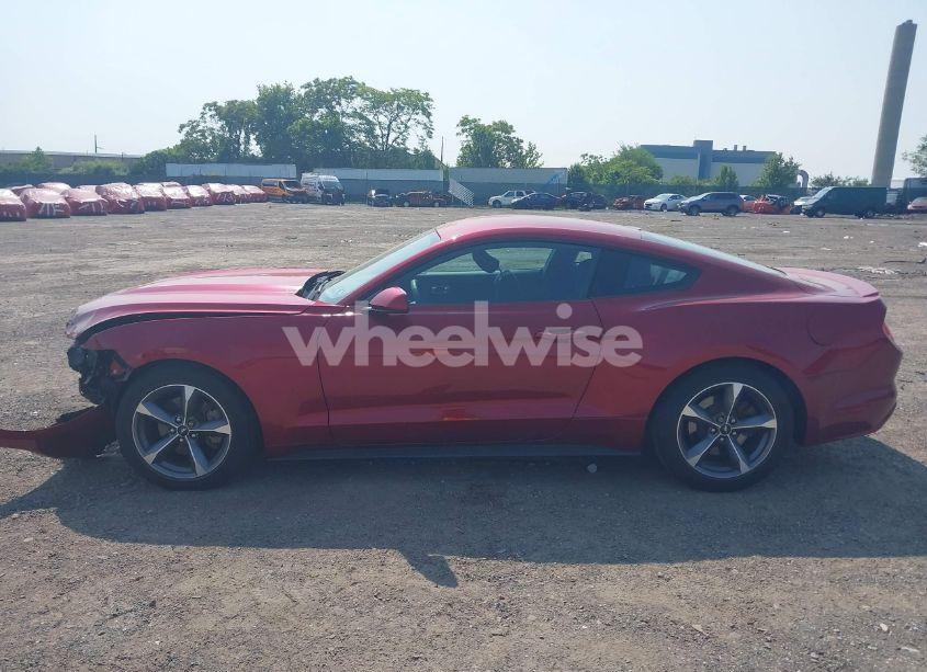 Photo 13 of 2015 Ford Mustang V6 (VIN 1FA6P8AM6F5365449)