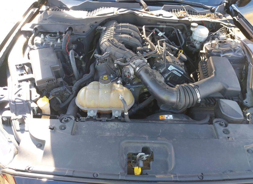 Photo 10 of 2015 Ford Mustang V6 (VIN 1FA6P8AM6F5365824)