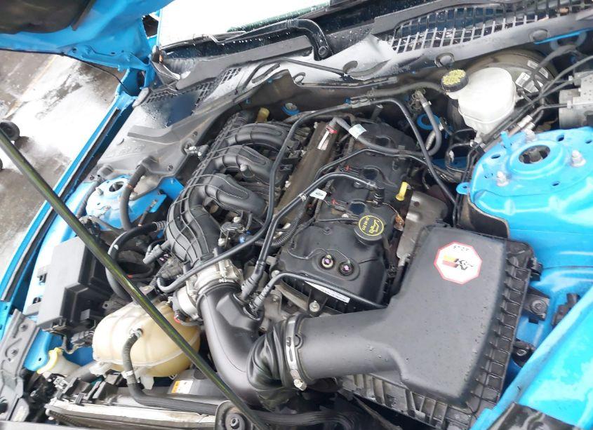 Photo 10 of 2017 Ford Mustang V6 (VIN 1FA6P8AM6H5202173)