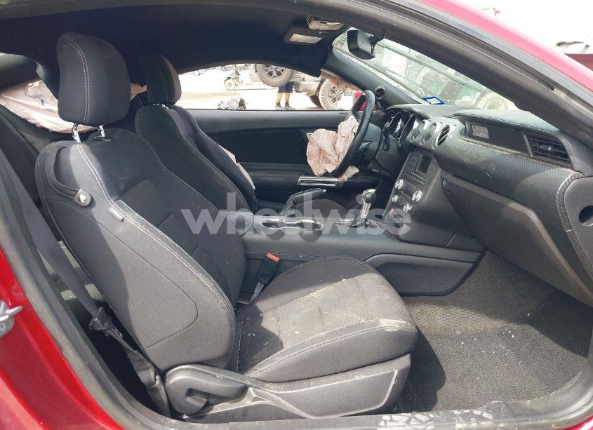 Photo 5 of 2017 Ford Mustang V6 (VIN 1FA6P8AM6H5277441)