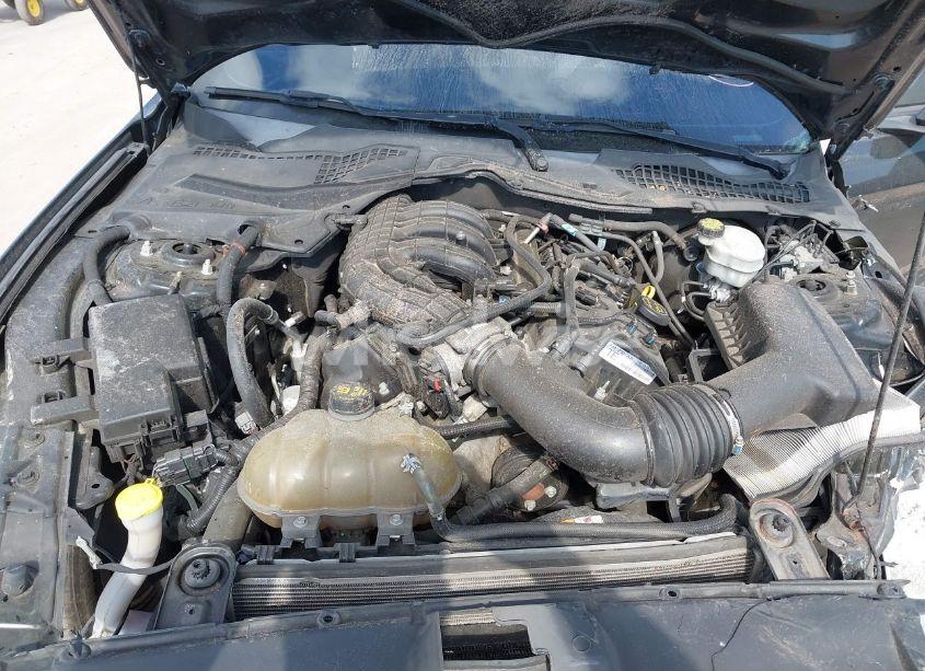 Photo 10 of 2015 Ford Mustang V6 (VIN 1FA6P8AM7F5313506)