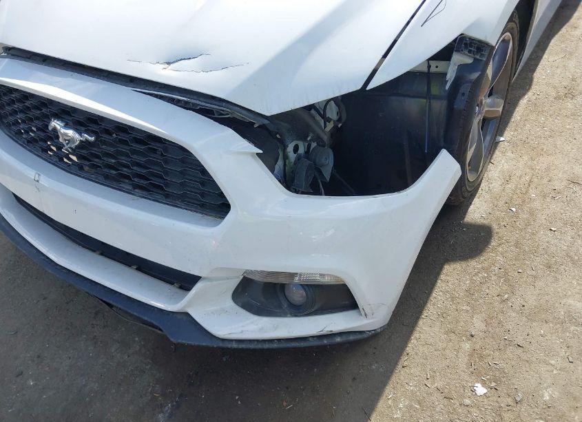 Photo 19 of 2015 Ford Mustang V6 (VIN 1FA6P8AM7F5366271)